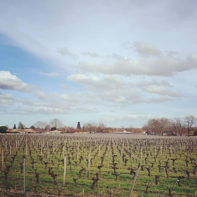Léognan Le Clos Langellaヴィラ エクステリア 写真